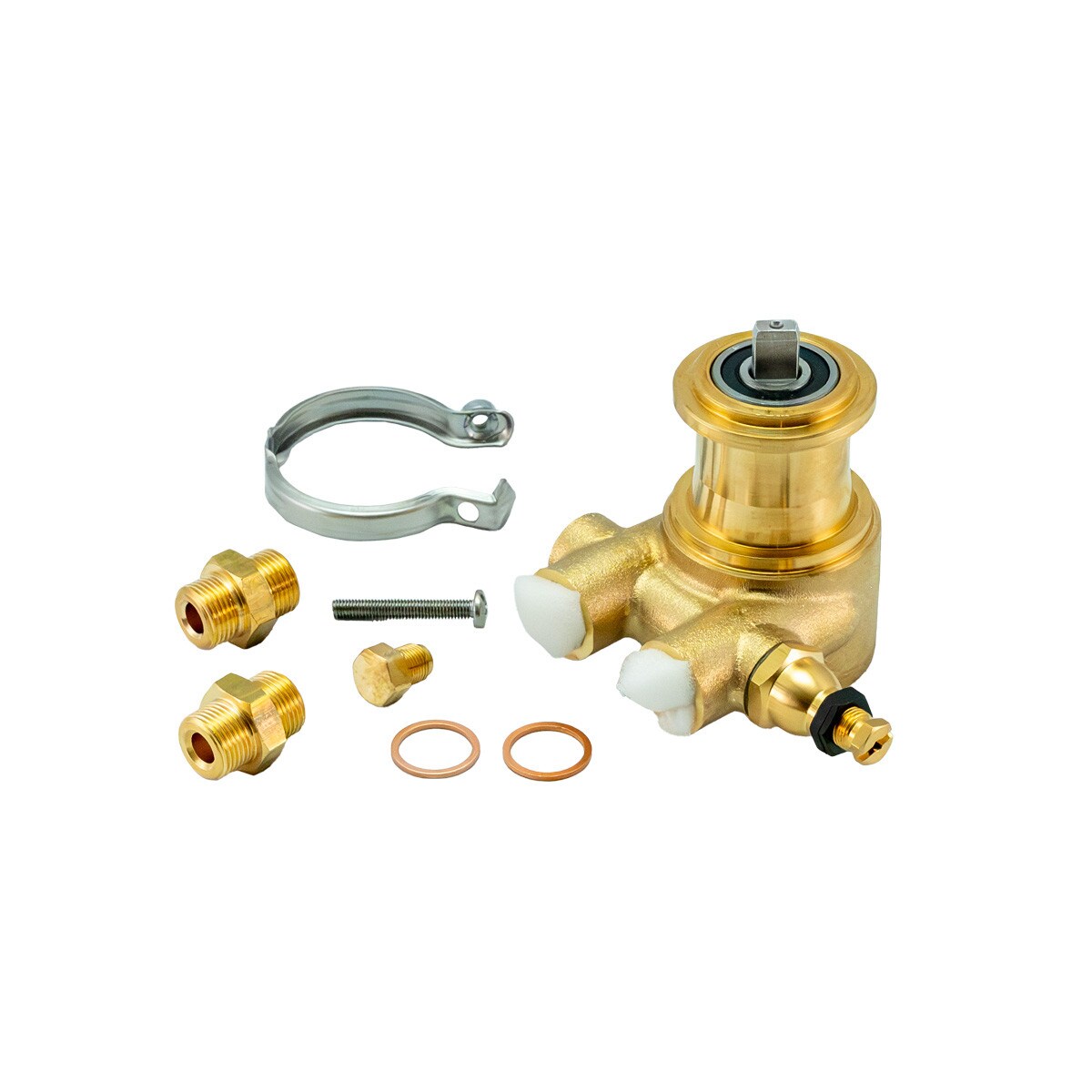 Rancilio 200L/h assembled pump (replaces 69000266 and 69000993)