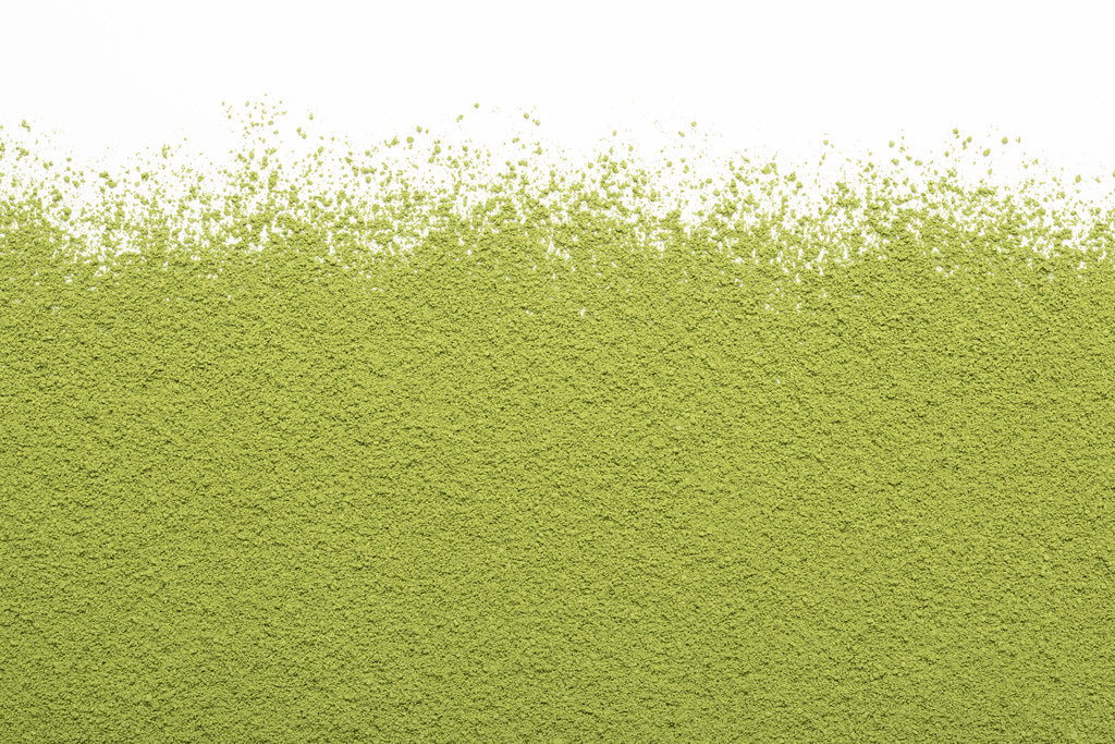 Camellia Sinensis - Matcha Barista (100g)