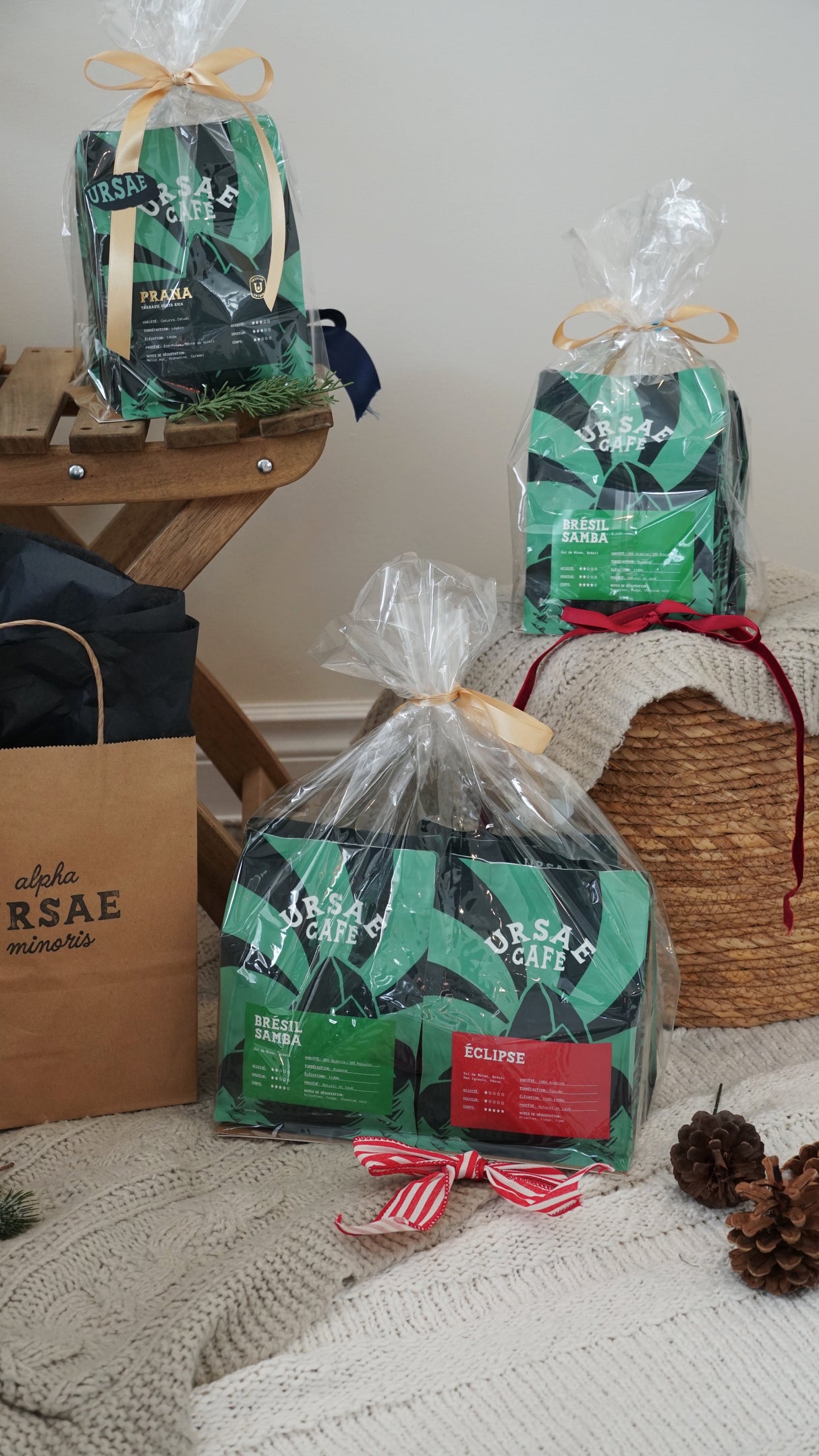 Ursae - Exploration Gift Set