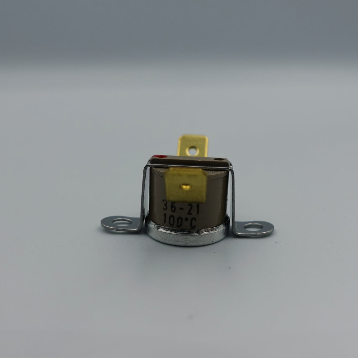 Silvia Thermostat 100C