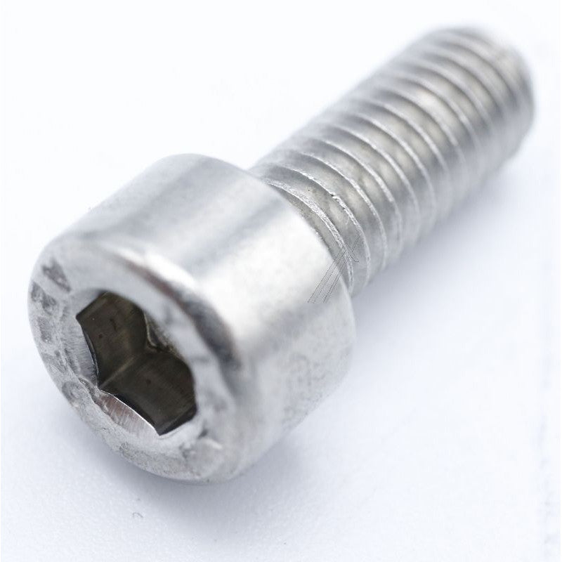 5X12 stainless steel screw