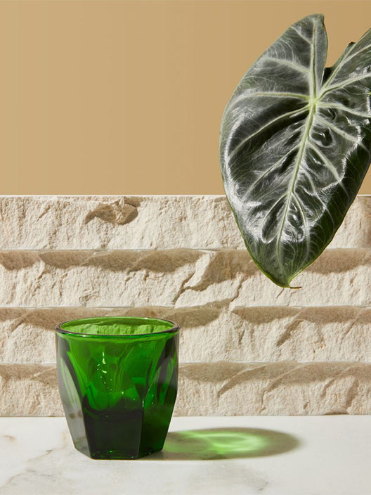 NotNeutral - Verre à cortado VERO (4.25oz/125ml)