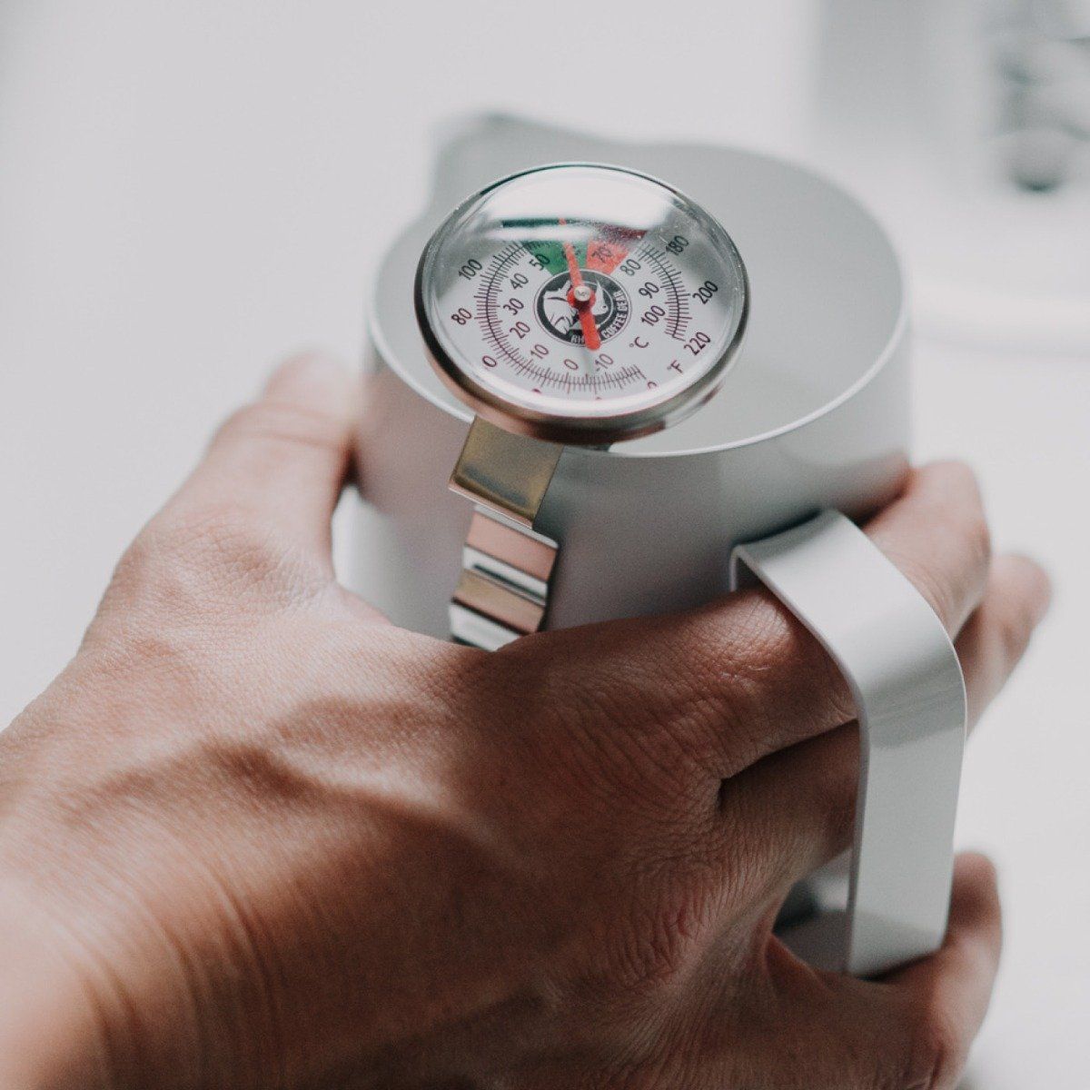 Rhino long thermometer