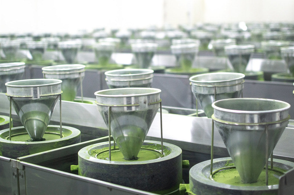 Camellia Sinensis - Matcha Sora (40g)