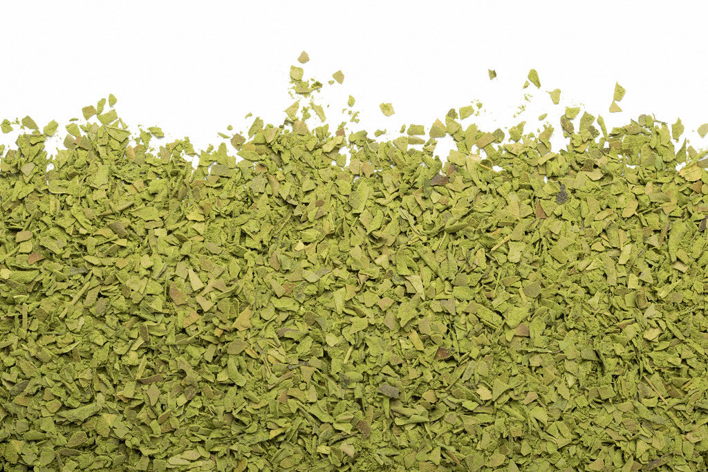 Camellia Sinensis - Dynamo biologique (150g)