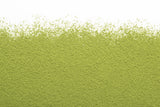 Camellia Sinensis - Matcha Barista (100g)