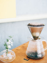 Hario 02 Dual Mesh : infuseur à café en acier inoxydable, double filtre métallique, 1 à 4 tasses
