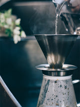 Hario 02 Dual Mesh : infuseur à café en acier inoxydable, double filtre métallique, 1 à 4 tasses