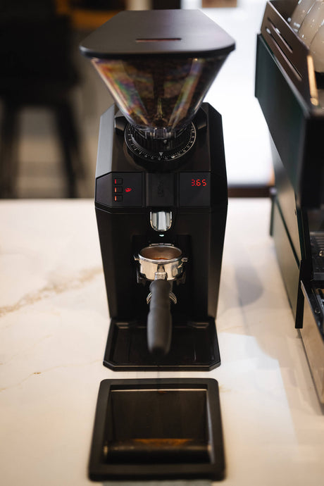 Moulin à espresso commercial La Marzocco Jay, vue de face